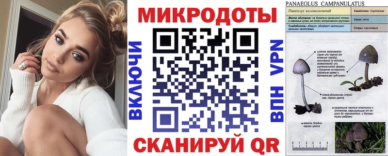 Псилоцибиновые грибы мицелий  Купить где  Горбатов 