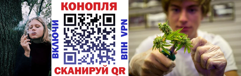 Конопля MAZAR  Купить где  Горбатов 
